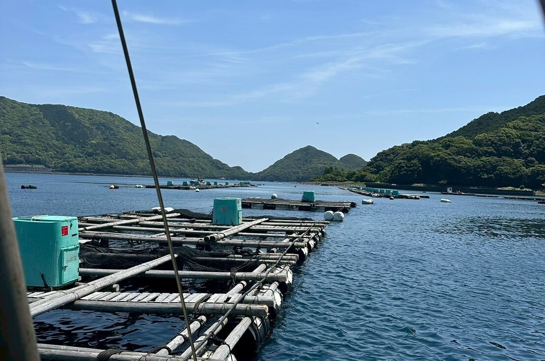 【データ経営への変革】畜産・水産事業者様